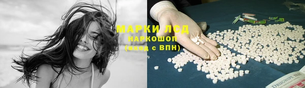 прущие грибы Нязепетровск