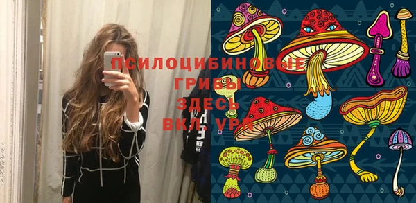 прущие грибы Нязепетровск