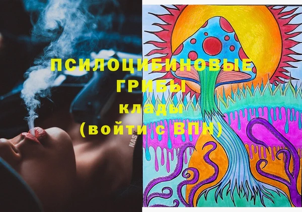mdma Няндома
