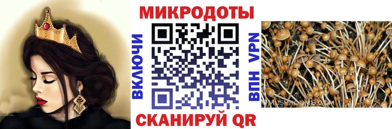 Галлюциногенные грибы Magic Shrooms  наркота  Сельцо 