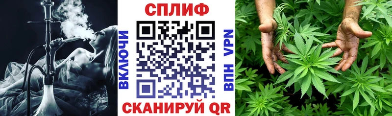 где купить наркоту  Сельцо  Канабис сатива 